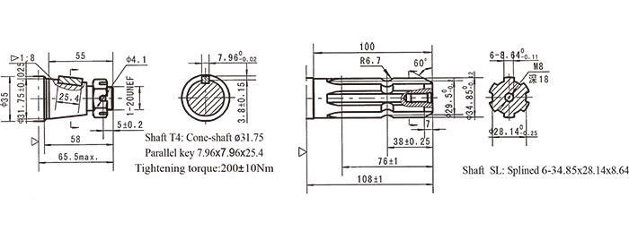 Bmss Bearingless High Pressure Hydraulic Motor