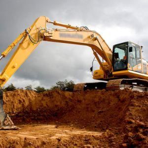 Different Loading Weight Customed Excavator for Sale