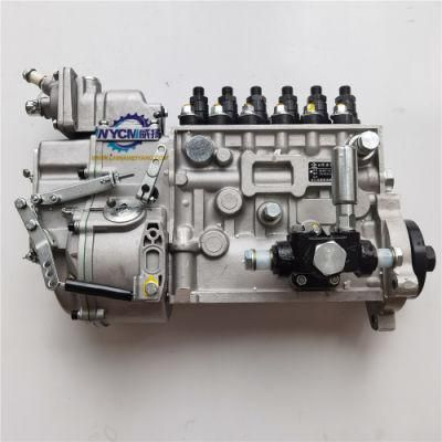 Shanghai Diesel Engine Spare Parts Cp10z-P10z022+a Fuel Injection Pump for Sale