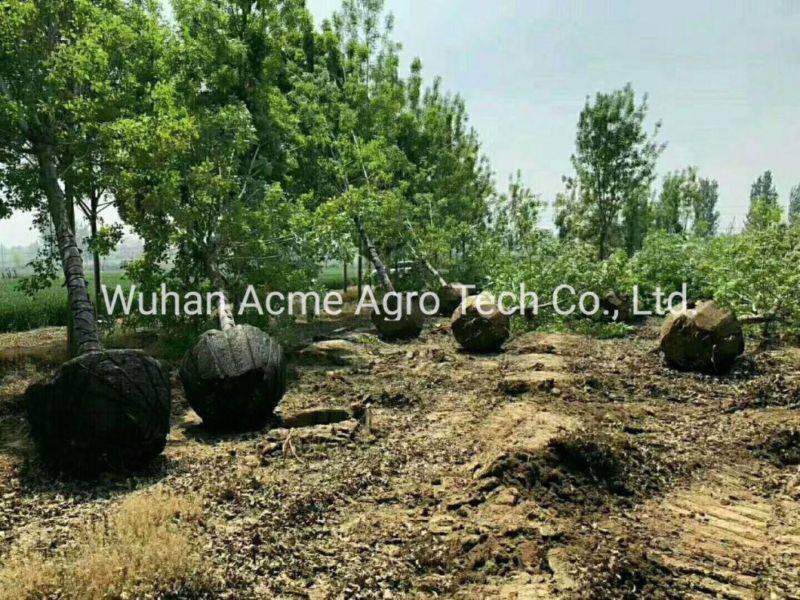 Excavator Attachement Tree Digger