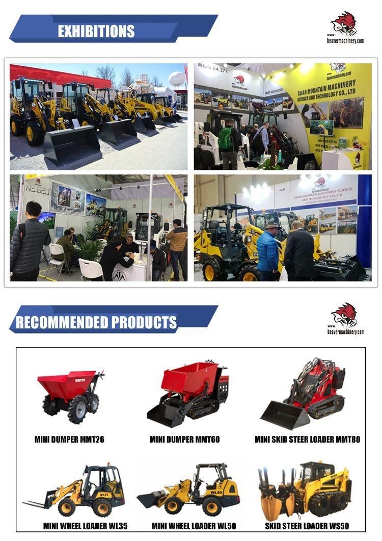 Gasoline Powered 800kg Small Transporter, Tracked Mini Crawler Dumper