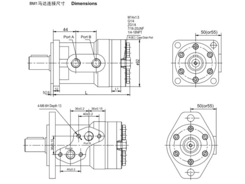 China Manufacture Char-Lynn Bm1/BMP 50cc/63cc/80cc/100cc/125cc/160cc/200cc/250cc/315cc/400cc Hydraulic Orbital Motor