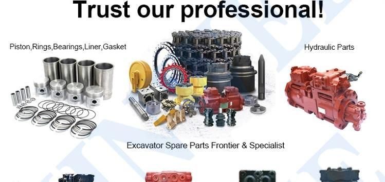Excavator Spare Parts Pilot Gear Pump