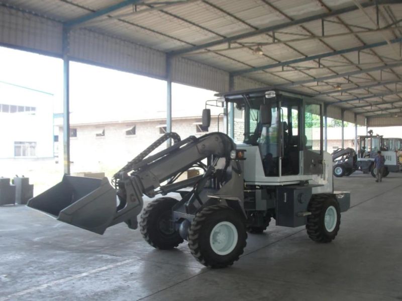 Telescopic Arm and Mini Loader