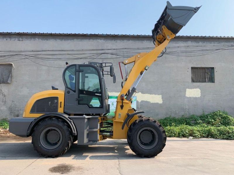 Mini Dumper Zl20 Skid Steer Wheel Loader with Backehoe