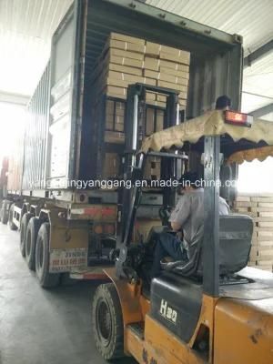 Concrete Vibrator Shaft/Carton Package (JYGD28, 32, 38, 45, 60MM)