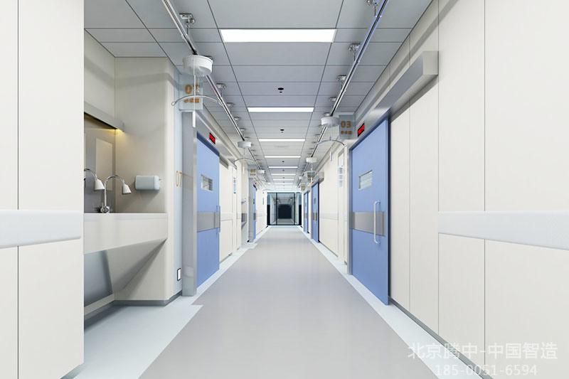 Ceiling Lift for Transferring Patients, Overhead Lift Suited for Different Need