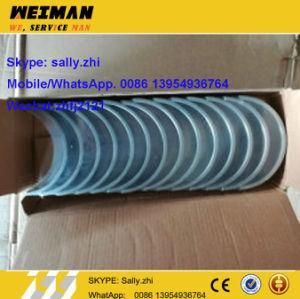 Brand New Main Bearing 4W5738 for Shangchai Engine