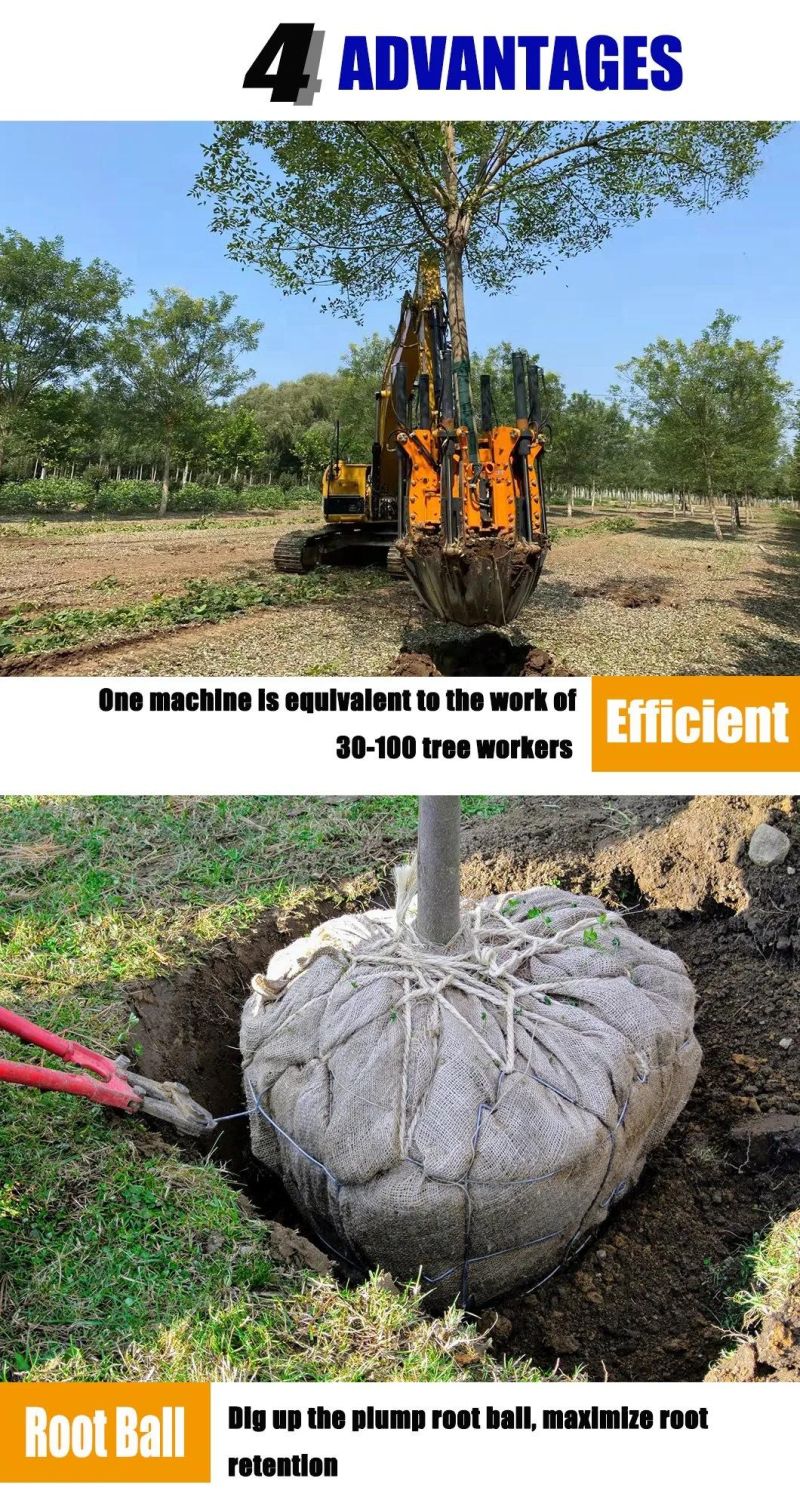 Mini Tree Spade Bucket Moving Machine Price Small Tree Transplanter for Sale