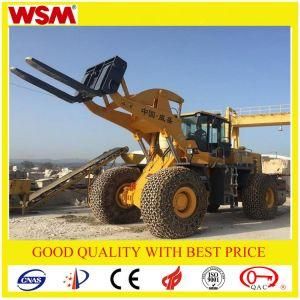 Heavy Duty Equipment for Sale Wsm971t27-I Diesel Forklift
