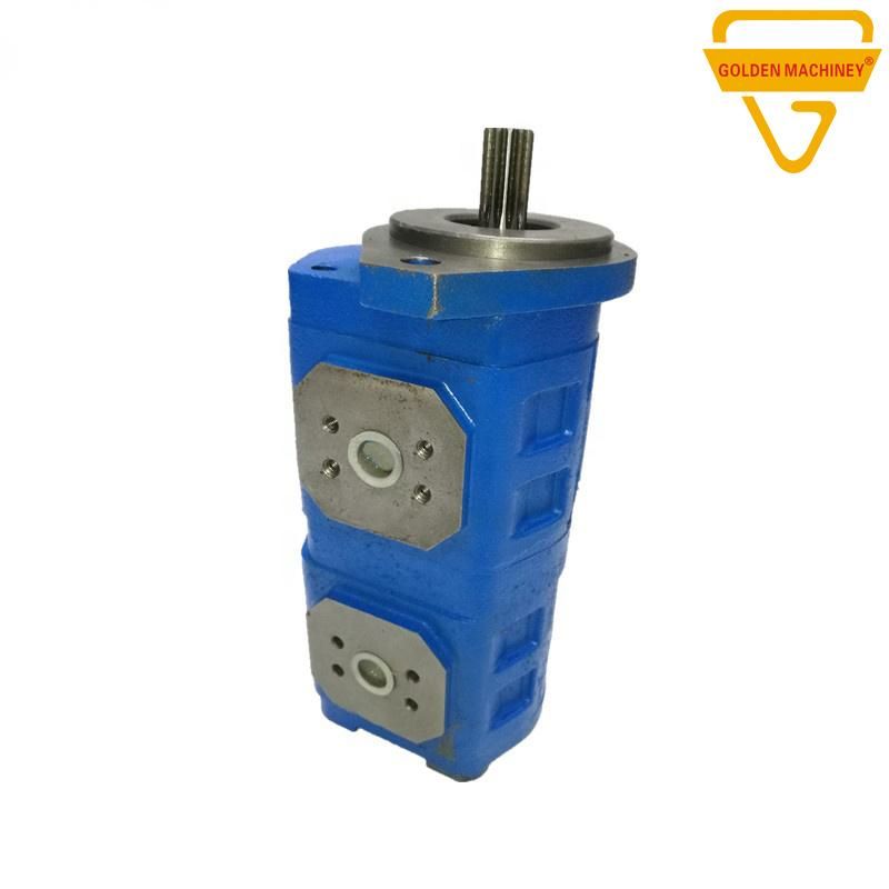 Gk E70 Ms070 S160 Construction Machinery Parts Cbgj Hydraulic Gear Pump Pilot Pump