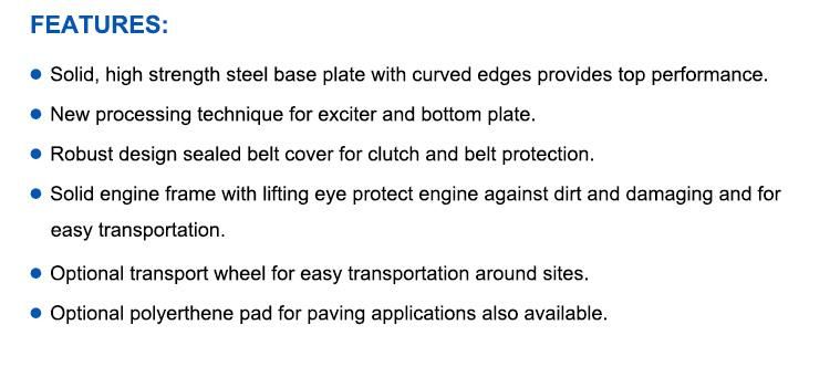 Bison Concrete Gasoline Engine Plate Compactor Prices with CE Certificate