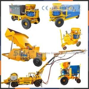 China Small Model Dry Mixing Machines Used for Swimming Pool