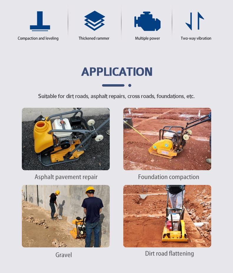 Wacker Plate Compactor Reversible Gasoline Engine