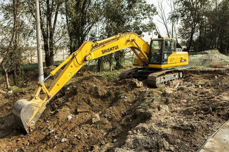 Se220 Famous Brand Excavators 22ton Excavating Machine