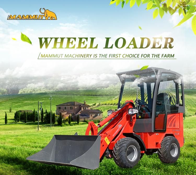 Famous Impoted Pump Wl10 Articulated Mini Wheel Loader