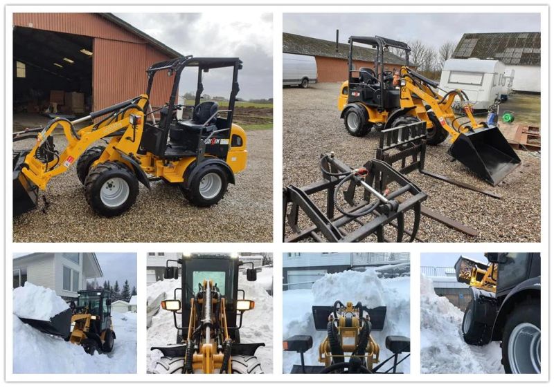 Haiqin Brand New Designed Mini Loader (HQ908PRO) with Japan Yanmar Engine