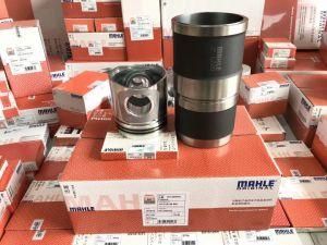 Mahle Piston Liner Kit for Excavator Engine 6CT (300HP)