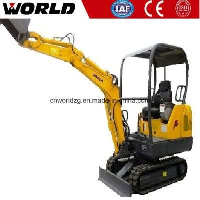 10years Experienced Crawler Typr Excavator (W218)