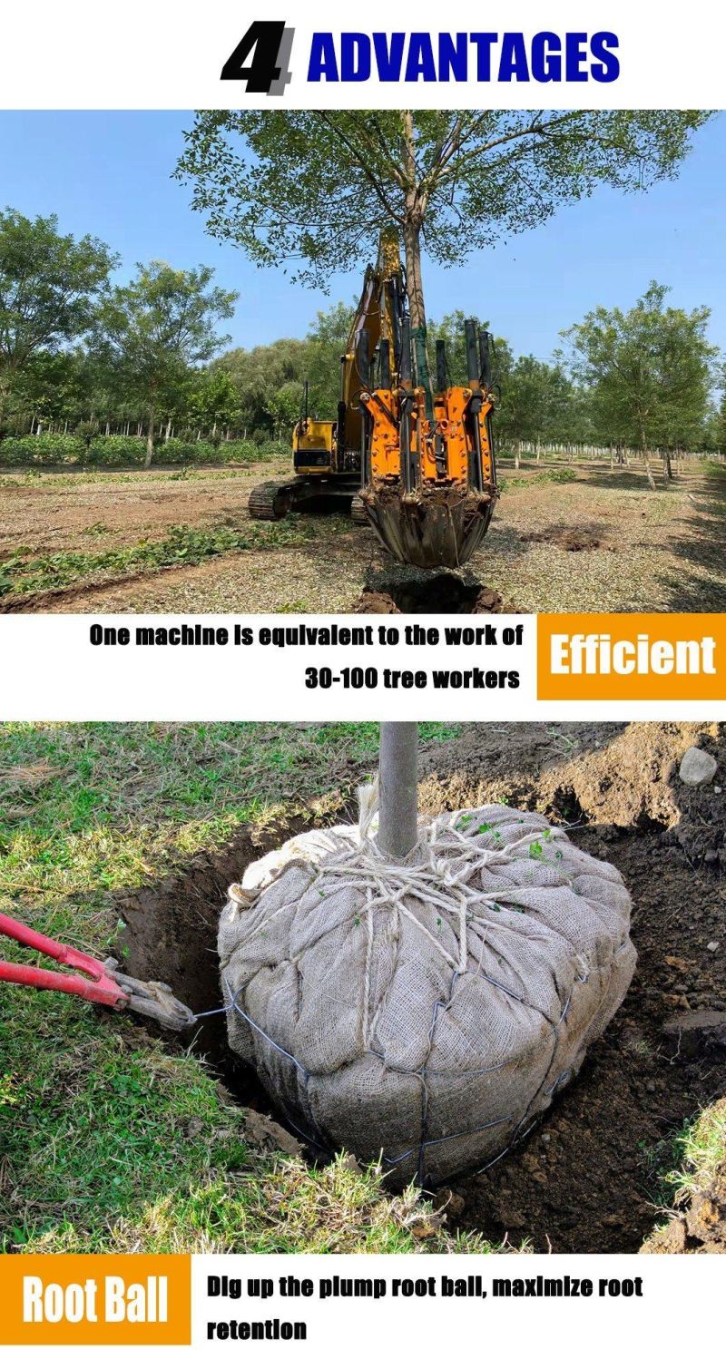 Skid Steer Loader/ Excavator Tree Spade for Transplanting Trees