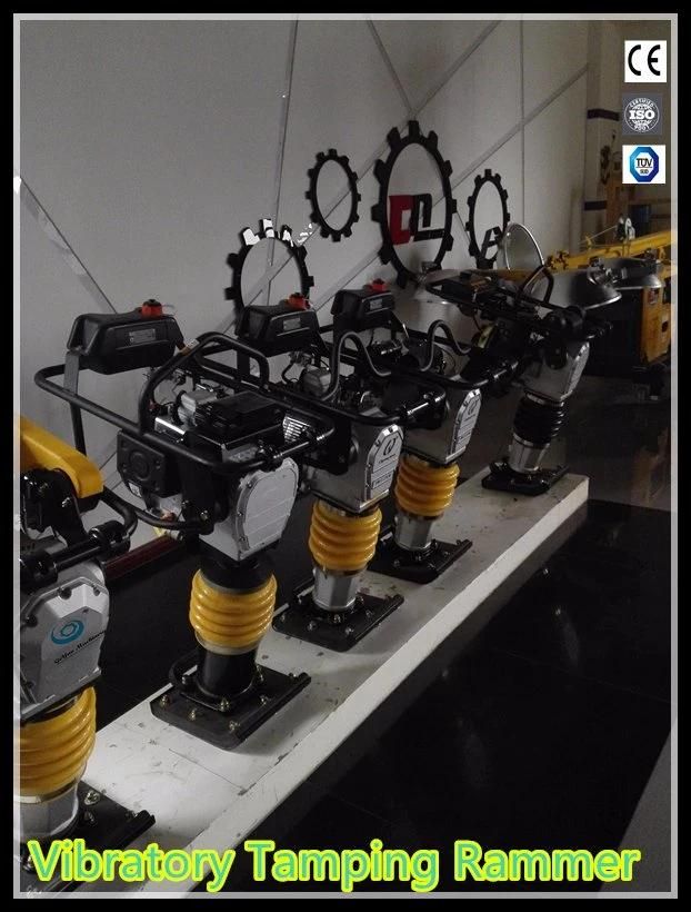Professional Portable Tamping Rammer with CE for Construction Site