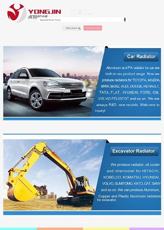 Hot Selling High Quality Excavator Radiator Volvo 210d for Crawler Volvo Excavator Spare Parts