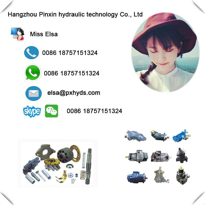 A8vo80 Hydraulic Spare Parts for Rexroth Pump