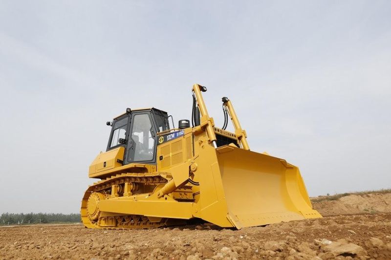 Famous Brand 190HP Small Crawler Bulldozer Se. M816D