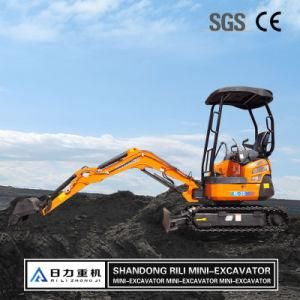 1.9 Ton New Cheap Mini Excavator for Sale Garden Constructio with Parts