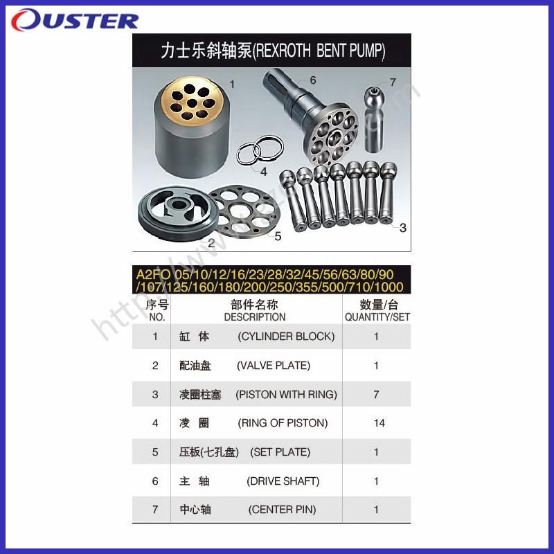 Replacement Rexroth A2f160 A2f200 A2f225 A2f250 A2f355 A2f500 A2f1000 Hydraulic Pump Parts