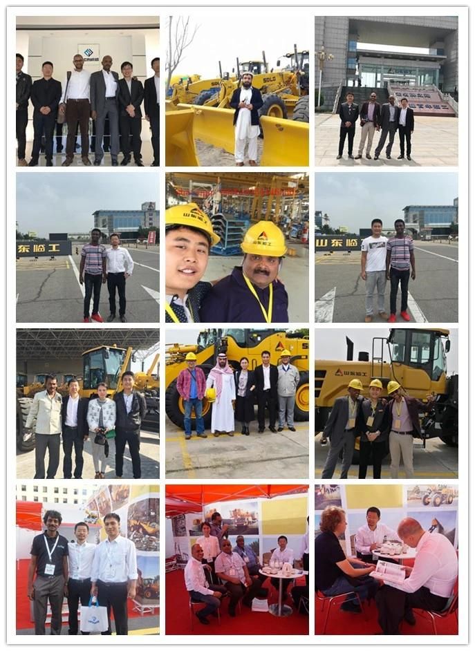 Changlin Wheel Loader Spare Parts Z30.6-10A Inner Gear for Sale