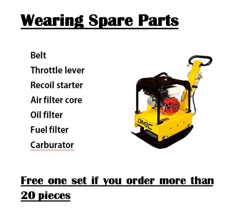 Pme-C160 Petrol/Diesel Engine Hydraulic Plate Compactor