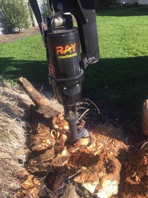 Ray CE Certification 18 Months Warranty Ray Stump Remove Auger