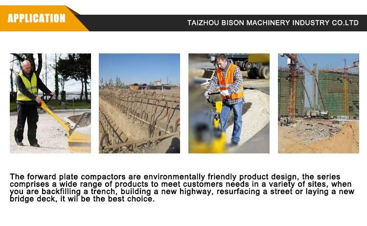 Bison Best Price Vibratory Plate Compactor and Rammer Plate Compactor