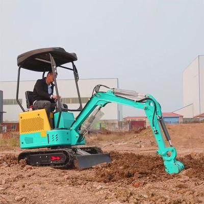 Shandong Small Mini Farm Excavator with Full Cabin Price in China on Sale