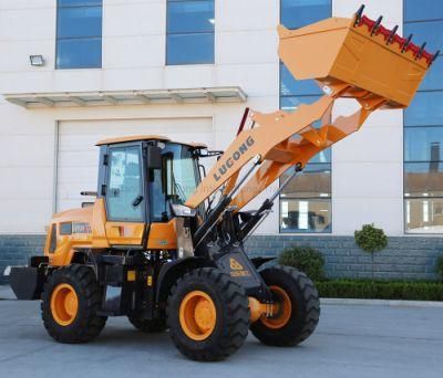 Hot Sale Lugong Factory Manufacturer with CE Certificate Turbo Mini Loader