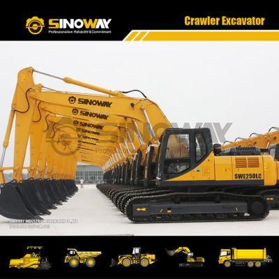 China Top Brand Sinoway 25 Ton Excavator with Lower Price