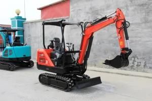 Quality Assurance and Solid CE and EPA Approved Hydraulic Mini Excavator