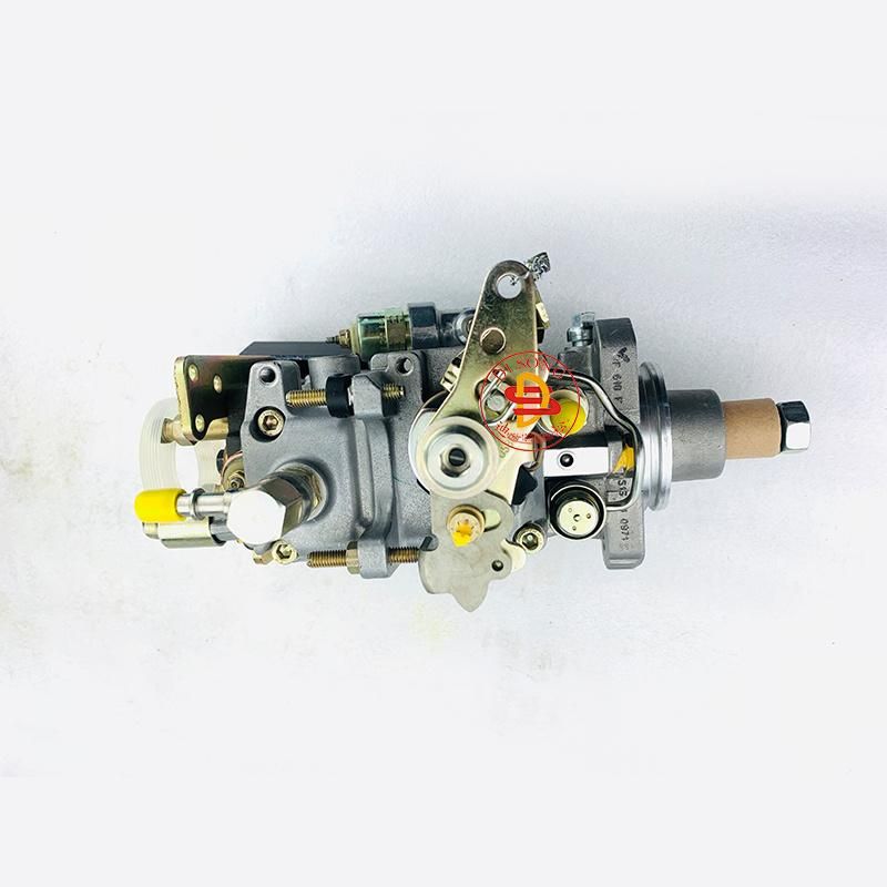 Diesel Engine Spare Parts Fuel Injection Pump 0 460 424 255 0460424255 0460424317