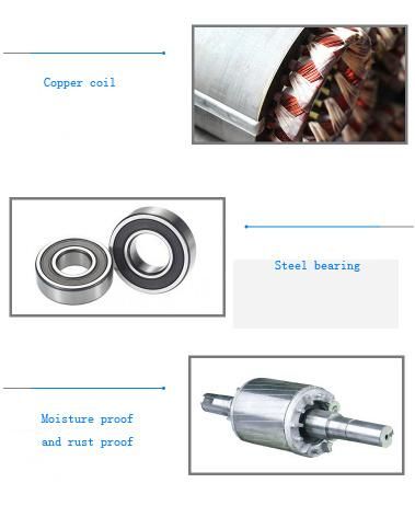 1.5kw or 2.2kw Electric Internal Concrete Vibrator Motor for for Construction