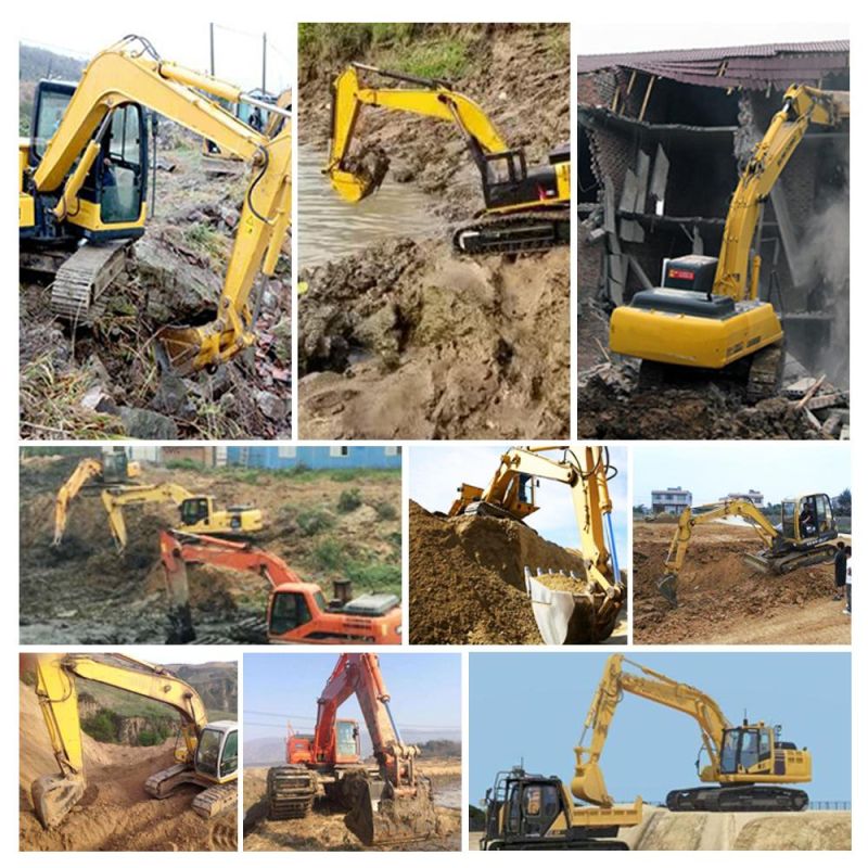 High Efficiency 124kw Rated Power Big Crawler Excavator for Sale
