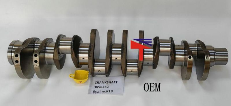 Machinery Engine Crankshaft 3096362 for K19 Engine Generator Set Excavator Dumptruck Heavy Truck