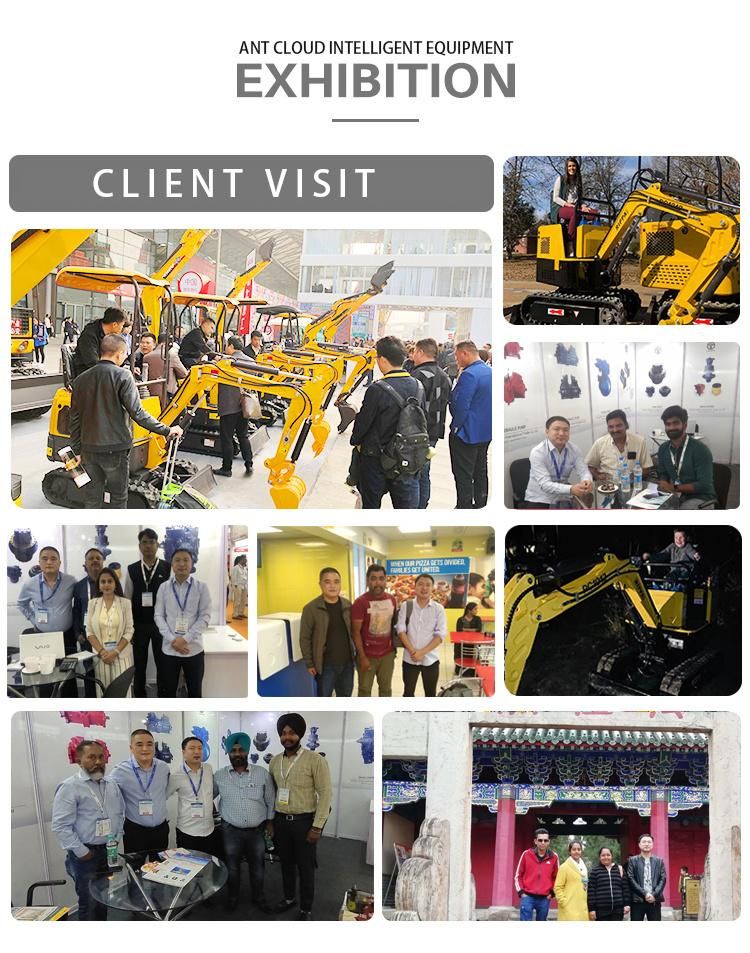 High Quality Mini Excavator 1ton Earthmoving Machinery Electric Excavator with CE EPA