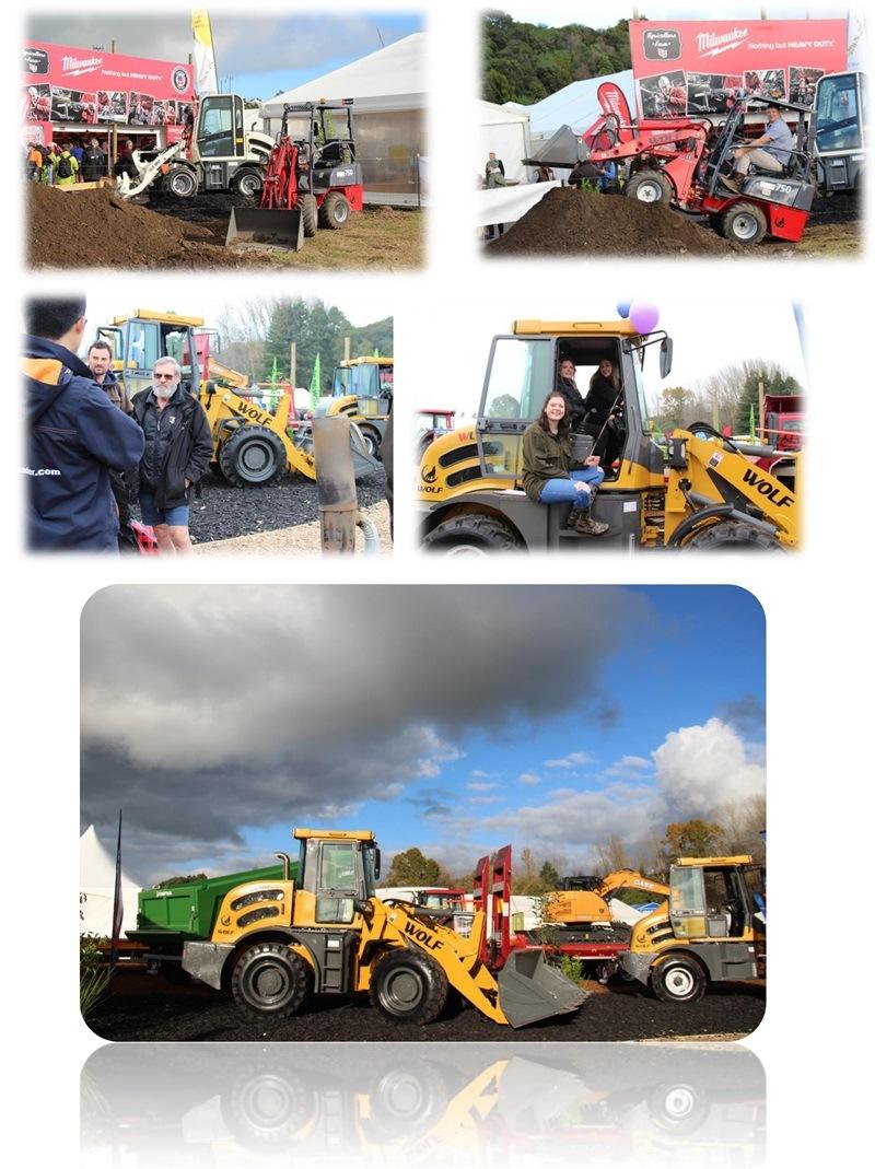 Mini Dumper Zl20 Skid Steer Wheel Loader with Backehoe