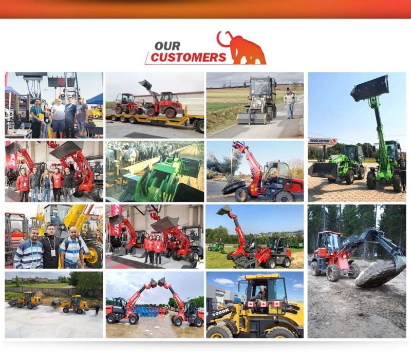 Wl15 Europe Hot Sale Articulating Front End Loader