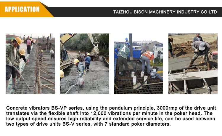 Bison High Frequency Integrated Concrete Vibrator 6m Vibrating Rod Machine