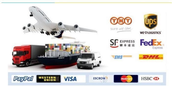 Hydraulic Motor Service Spare Parts Repair Kit Swing Motor Parts