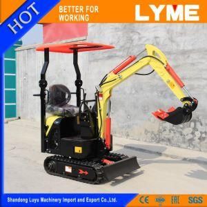 Lyme Big 1 Ton Mini Excavator with Different Replaceable Accessories