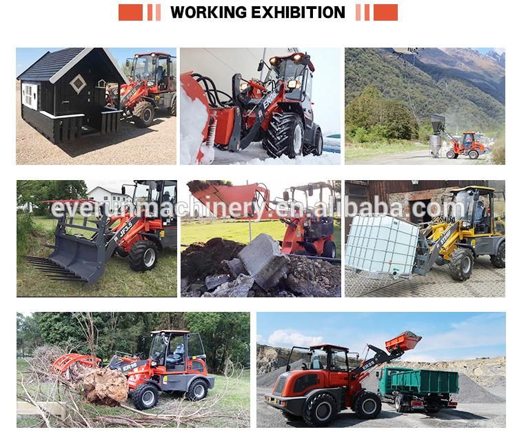 Hot Sale Everun New Er416t Compact 1.6ton Compact Front End Mini Small Farm Construction Bucket Wheel Loader with New Rops&Fops Cabin and EPA Euro5 Engine