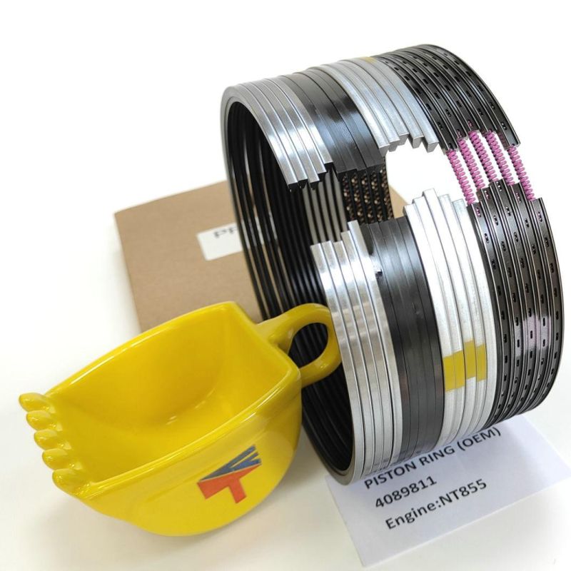 High Quality Diesel Engine Mechanical Parts Piston Ring 4089811 for Buildozer Ty220 Ty320 Engine Nt855 Generator Set